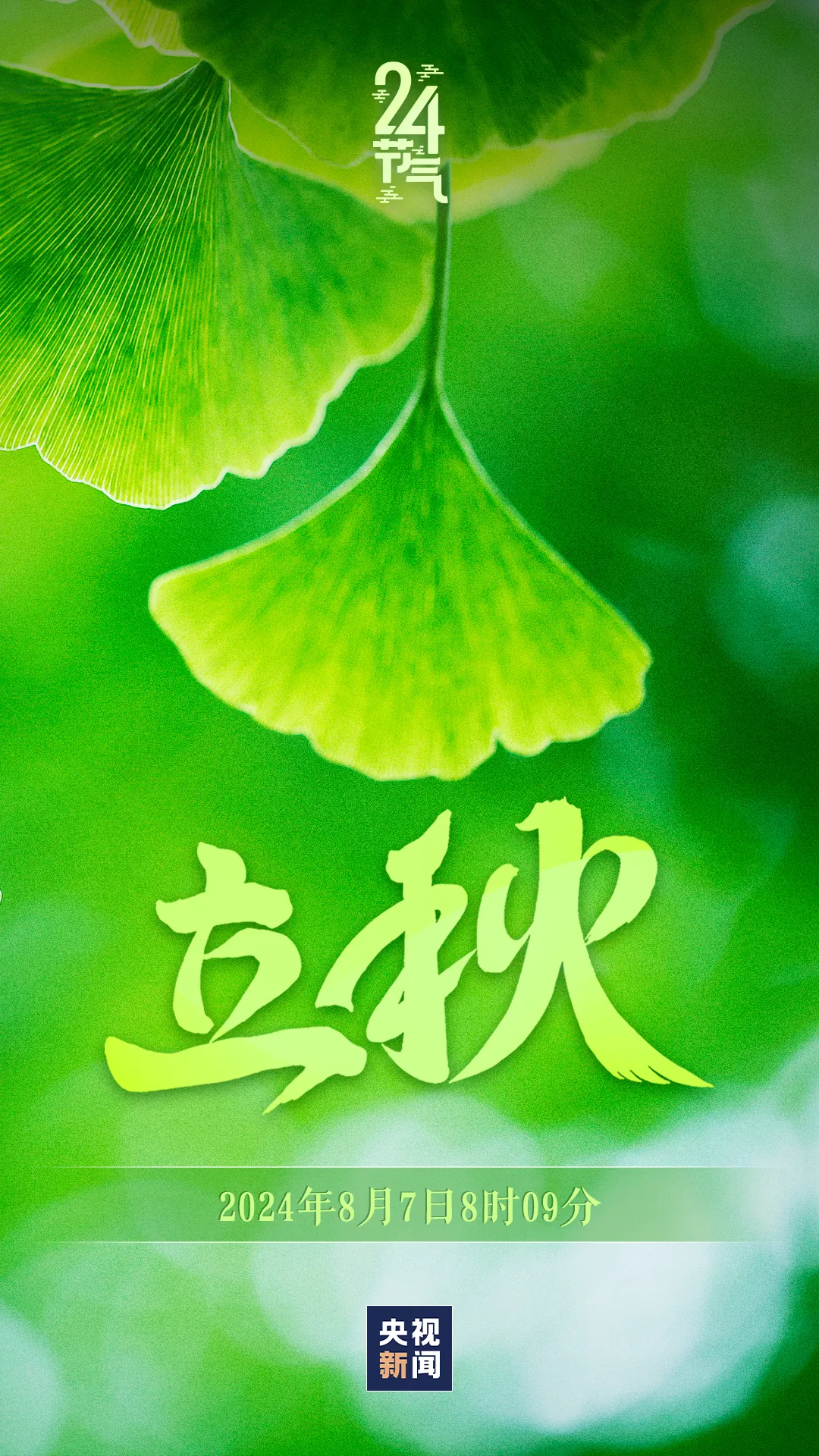 今日，立秋