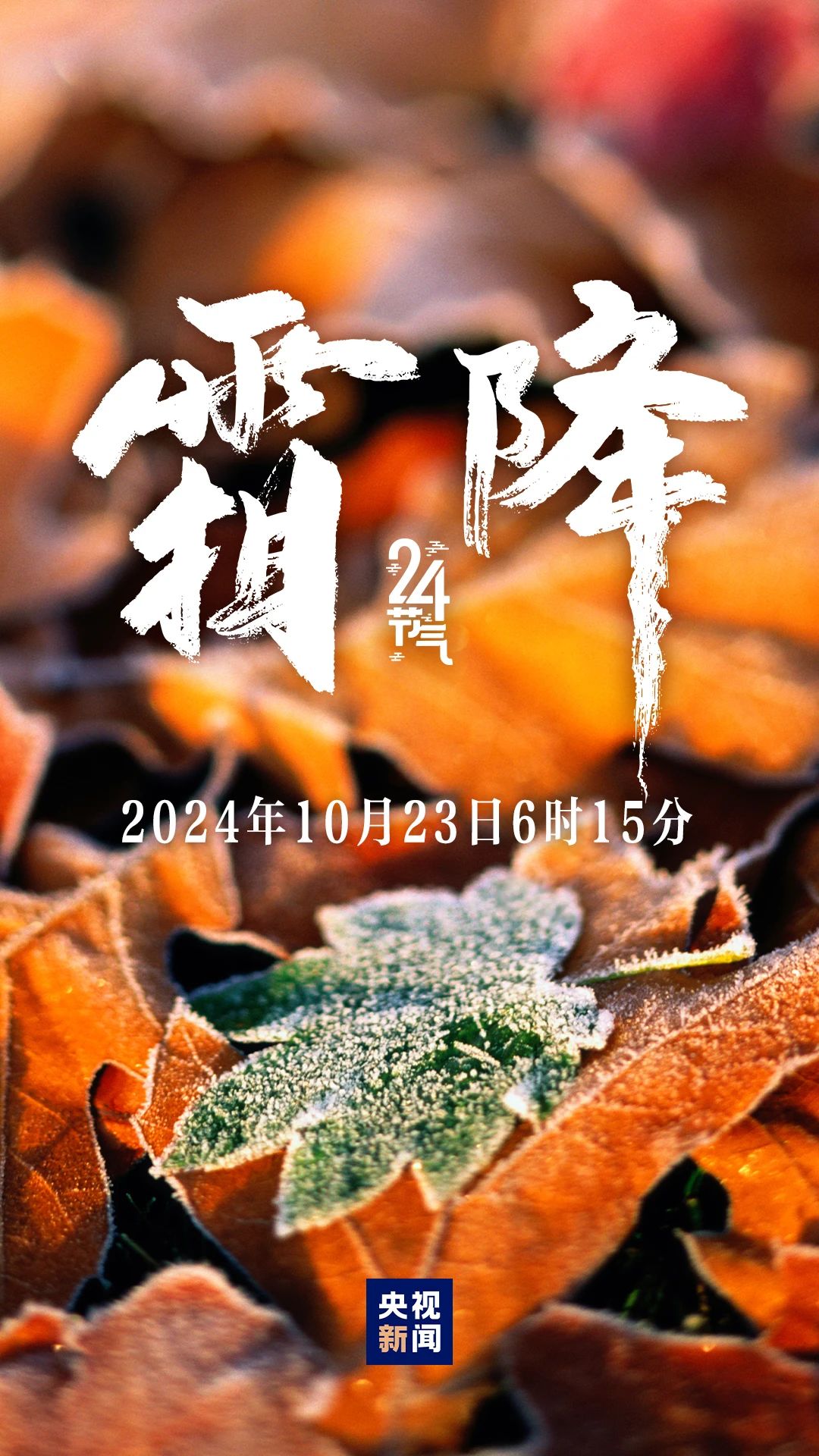 秋季最后一個(gè)節(jié)氣，來(lái)了